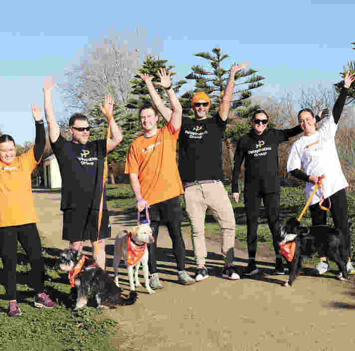 a group of people raising their hands in the air while holding dogs on leads.