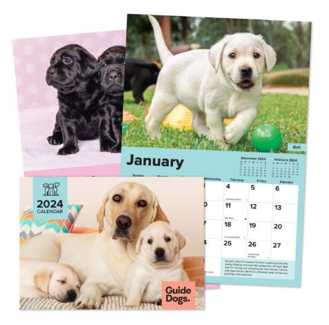 The Guide Dogs Calendar for 2023 featuring 3 yellow Labradors