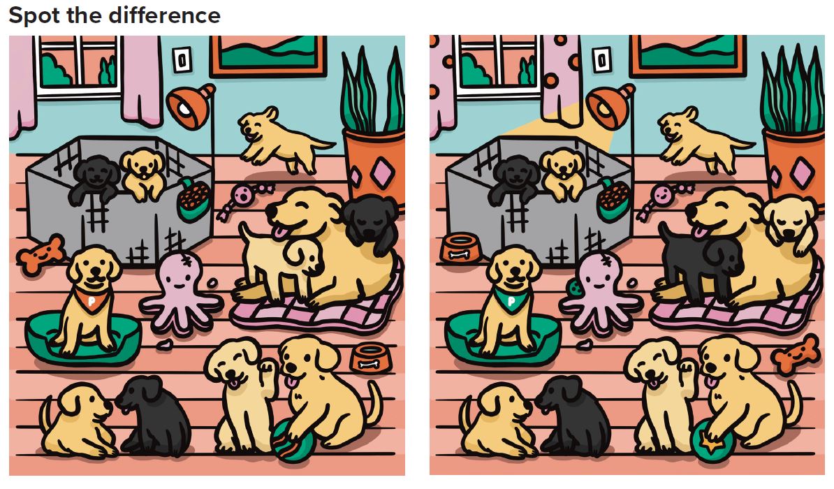 Spot the difference cartoon