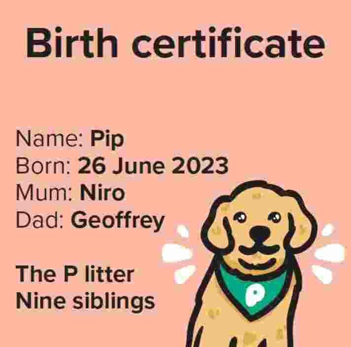 A birth certificate. Text reads: name: Pip Born: 26 June 2023, Mum: Niro, Dad: Geoffrey