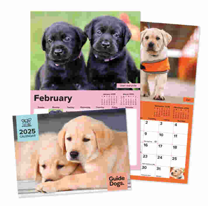A product image of the Guide Dogs 2025 calendar.