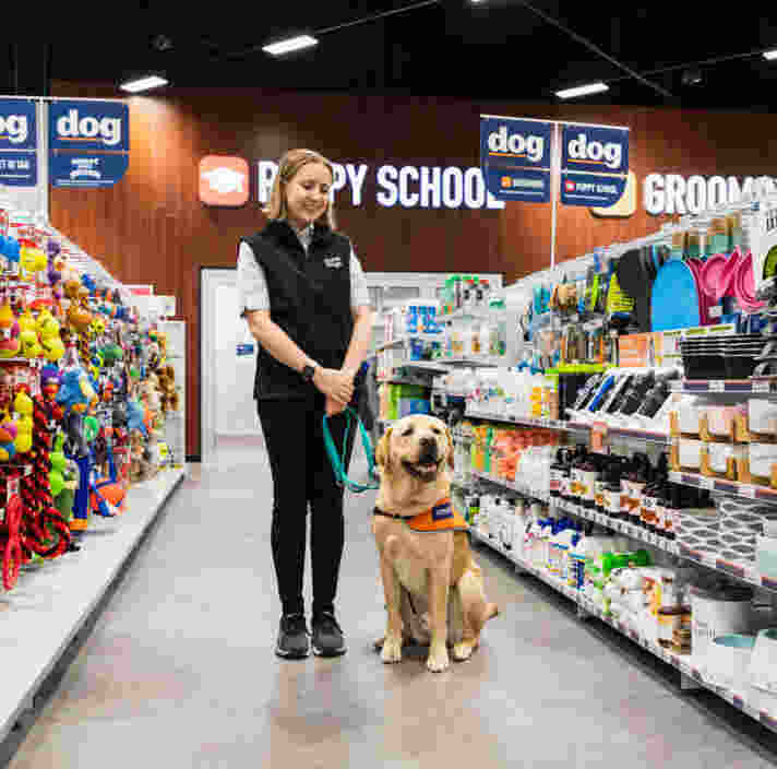 Therapy Dog Specialist Elisha with Guide Dogs Ambassador Raffa inside a Petstock store.
